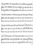 Vivaldi, Antonio % Concerto in d minor, RV 482 - BSN/PN