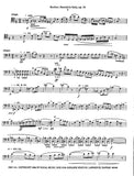 Collection % Orchestral Passages for Bassoon from the Concertos (Degen) - BSN