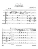 Milde, Ludwig % Tarantella Op 20 (Score & Parts)-BSN/STRINGS