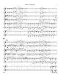 Beethoven, Ludwig van % Andante, op. 14, #2 (score & parts) - WW8