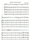Weber, Carl Maria von % Andante e Rondo Ongarese, op. 35 (score & parts) - BSN/STG4