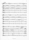 Danzi, Franz % Concerto in C Major (Score Only)-BSN/ORCH