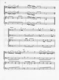 Schiffelholz, Johann Paul % Trio in G Major - 2BSN/PN (basso continuo)