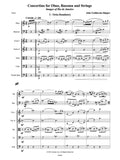 Ripper, Joao Guilherme % Concertino (Score & Set of Parts)-OB/BSN/STGS