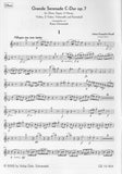 Brandl, Johann Evangelist % Grand Serenade in C Major, op. 7 (score & parts) - OB/2HN/BSN/VLN/2BLA/CEL/KB