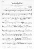 Wagner, Richard % Siegfried Idyll (score & parts) - WW5/STG4/KB