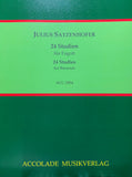 Satzenhofer, Julius % 24 Studies (Maler) - BSN
