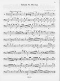 Beethoven, Ludwig van % Orchestral Studies V1 (Piesk) - BSN