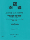 Bach, J.S. % Sheep May Safely Graze - BSN/PN