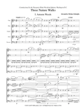 Molnar-Suhajda, Alexandra % Three Nature Walks  (score & parts) - WW5
