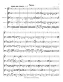 Granados, Enrique % Playera (Taylor) (score & parts) - WW5