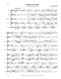 Strauss, Richard % Andante con moto from the 2nd Horn Concerto (Jöstlein) - WW5