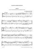 Maler, Nikolaus. % Malers Sammelsurium II - 2BSN