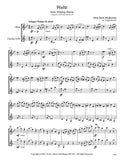 Tchaikovsky, Pyotr Ilyich % Waltz from Sleeping Beauty (score & parts) - OB/CL