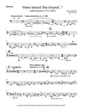 Banzhoff, Drew % How Sweet the Sound - BSN/HN/PN