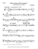 Banzhoff, Drew % How Sweet the Sound - BSN/HN/PN