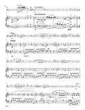 Kummer, Gaspard Johann % Concertino, op. 27 - BSN/PN