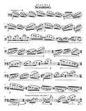 Montano, Damian % Etudes for the Bassoon Virtuoso - BSN/PN
