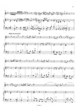 Score 4