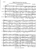 Seitz, Paul % Bright Promise from the Fire (score/parts) - REED5