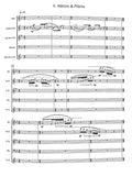 Seitz, Paul % Bright Promise from the Fire (score/parts) - REED5