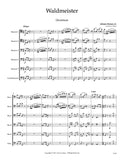 Strauss II, Johann % Waldmeister Overture (score & parts) - 5BSN/CBSN