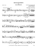 Eisenberg, Alexandre % Megalogadron - BSN SOLO