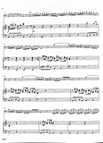 Vivaldi, Antonio % Concerto in a minor, F8 #10, RV500 - BSN/PN
