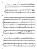 Vivaldi, Antonio % Concerto in F Major F8 #19 RV488 - BSN/STRINGS