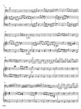 Vivaldi, Antonio % Concerto in d minor, RV 482 - BSN/PN