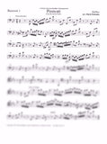 Bassoon 1