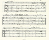 Score 3