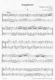 Bassoons