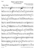 bassoon
