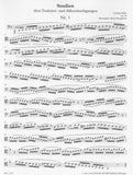 Bassoon