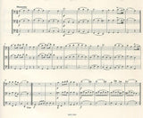 Score 4