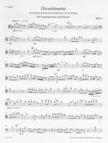 Bassoon 1