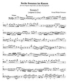 bassoon