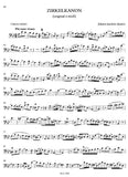 bassoon