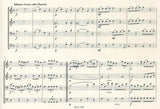Score 4