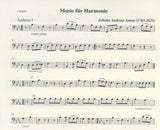 Bassoon 1