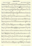 Bassoon