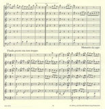 Score 3