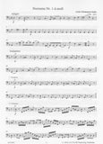 Bassoon
