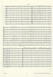 Score 3