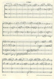 Score 3