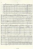 Score 3