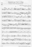 Bassoon