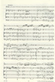 Score 4