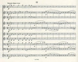 Score 3